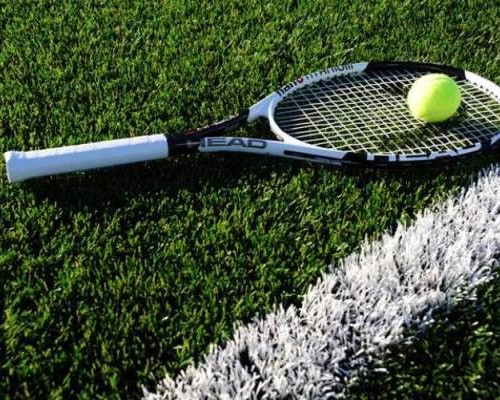 Artificial Grass for Sports Sit-in - Tenis Top Court